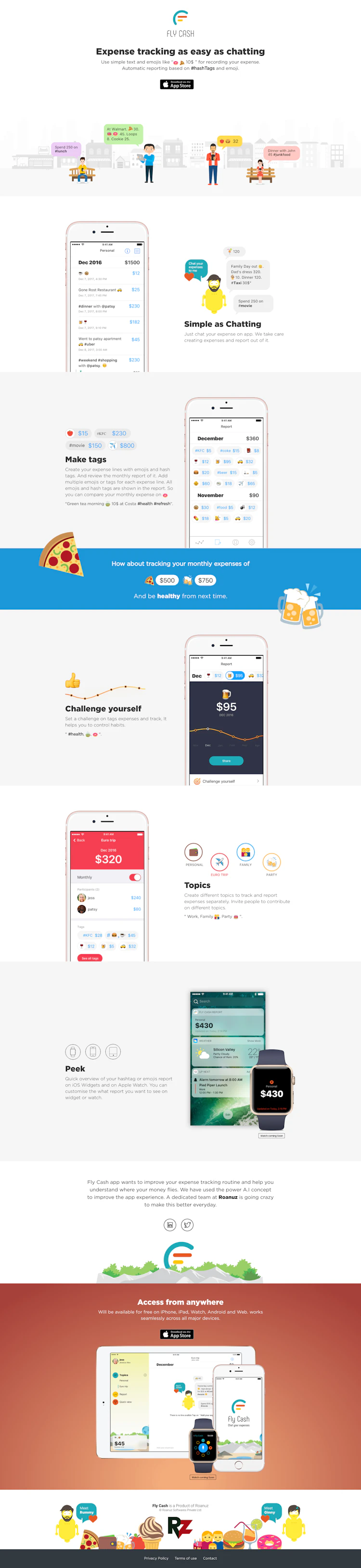 Flycash Landing Page screenshot