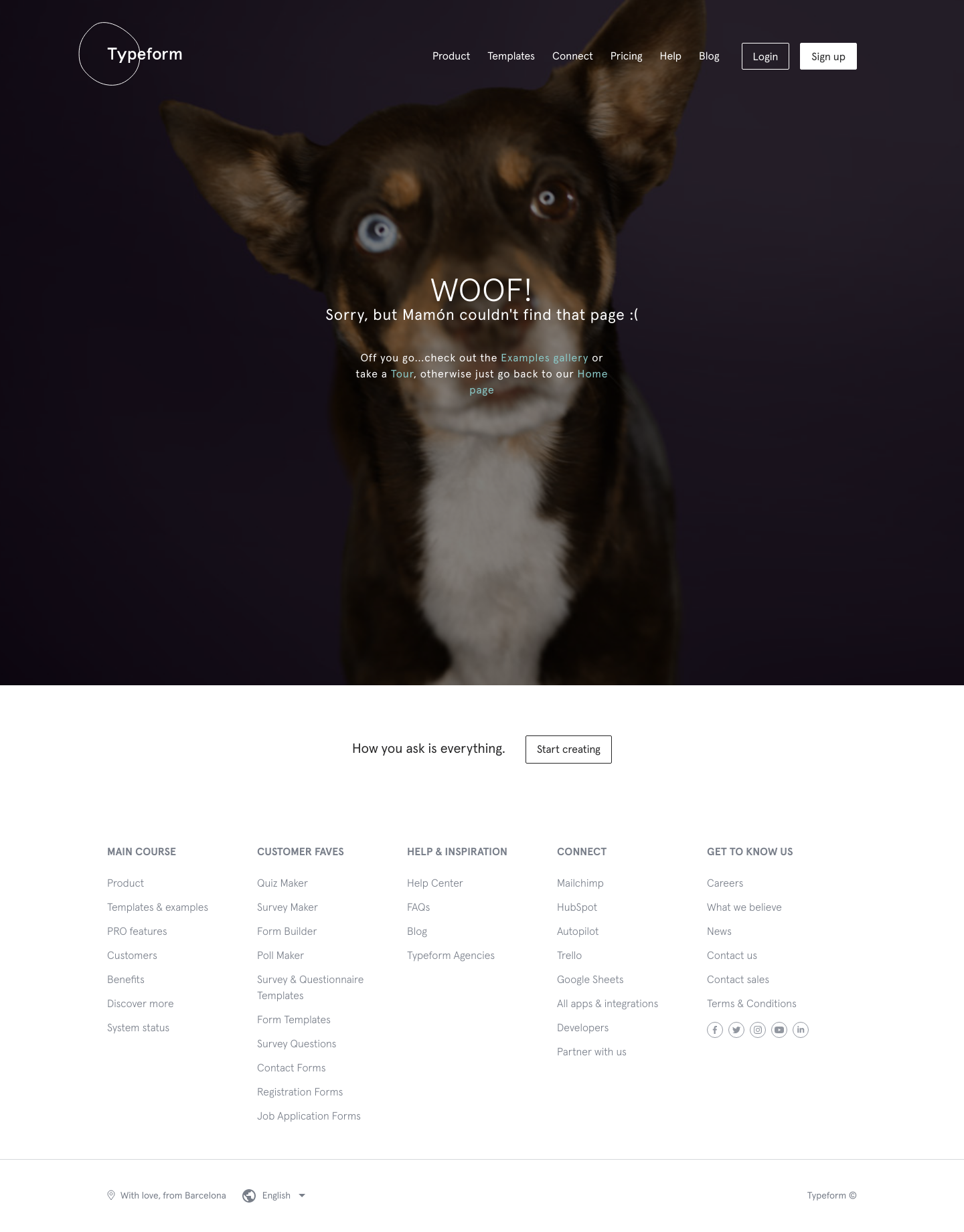 Typeform Notfound screenshot