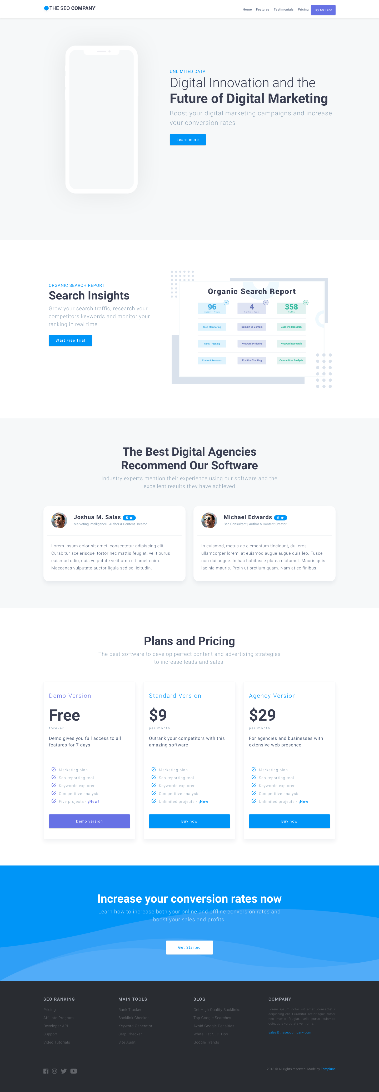 The SEO Company template screenshot