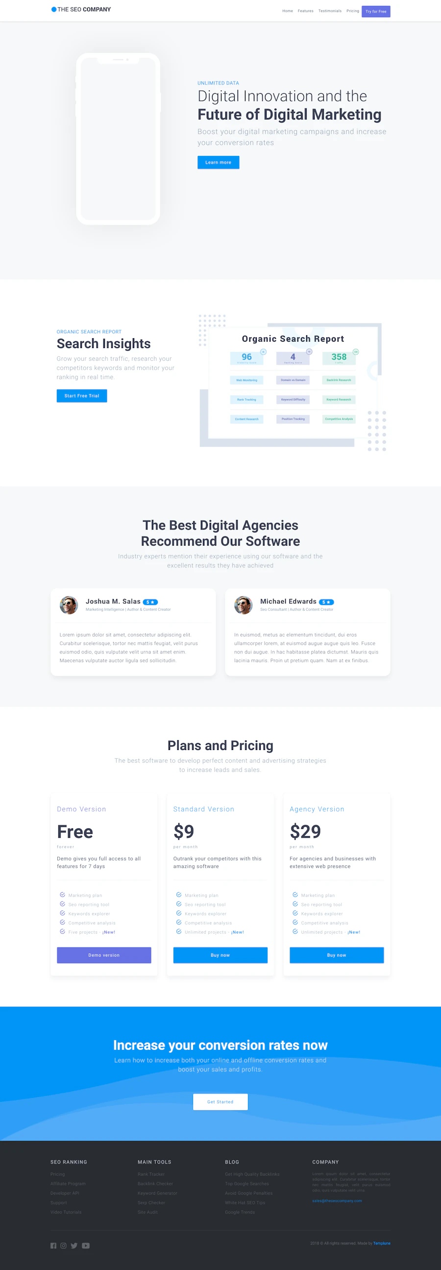 The SEO Company template screenshot