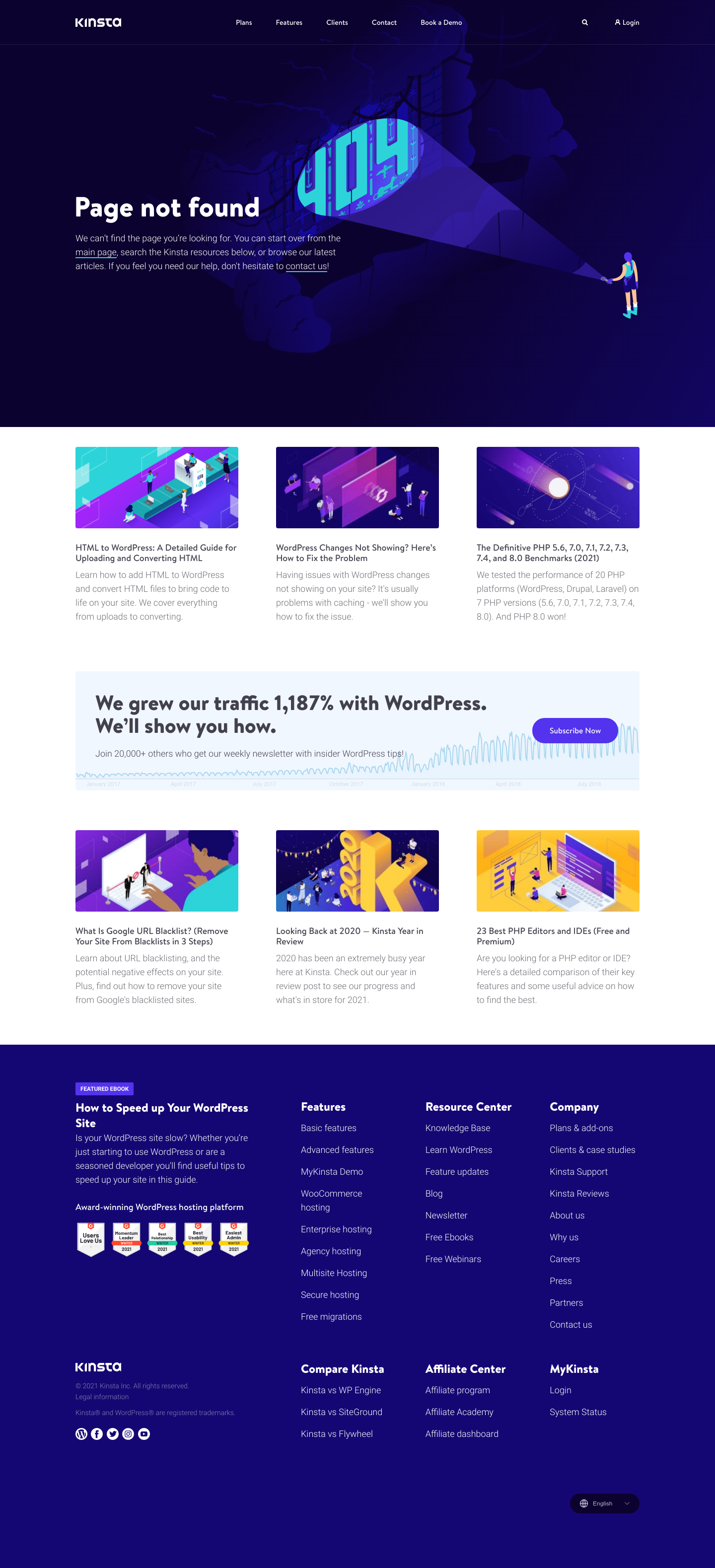 Kinsta Notfound screenshot