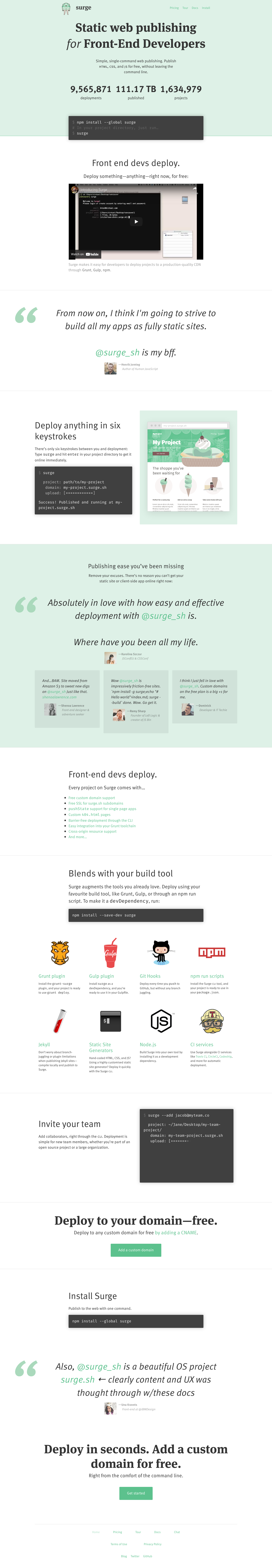 Surge Landing Page screenshot