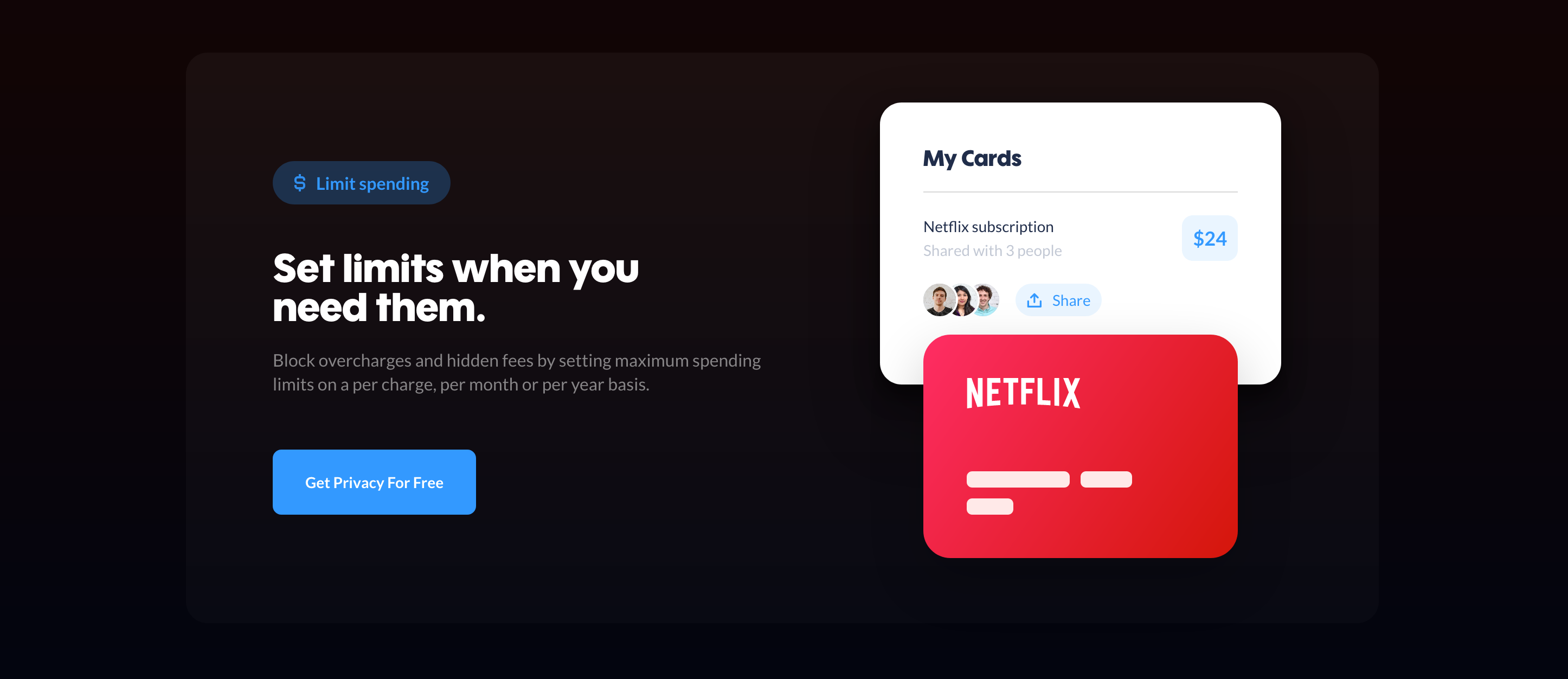 Privacy Feature component screenshot