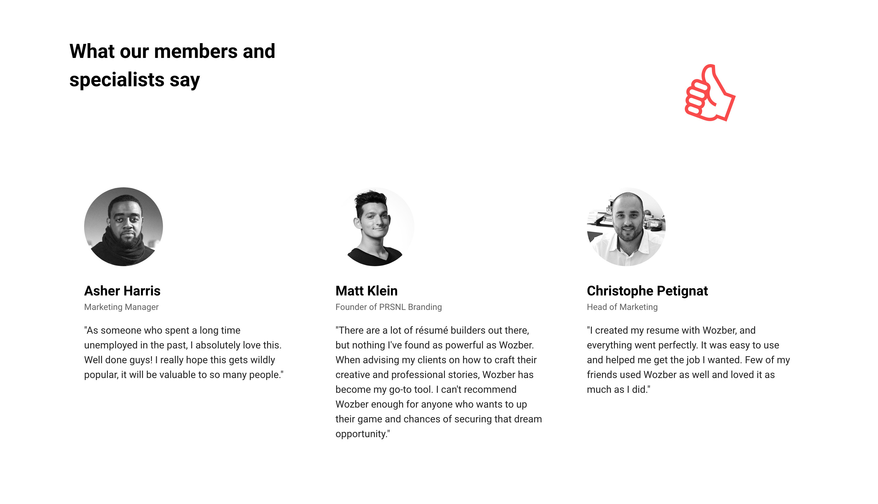 Wozber Testimonial component screenshot