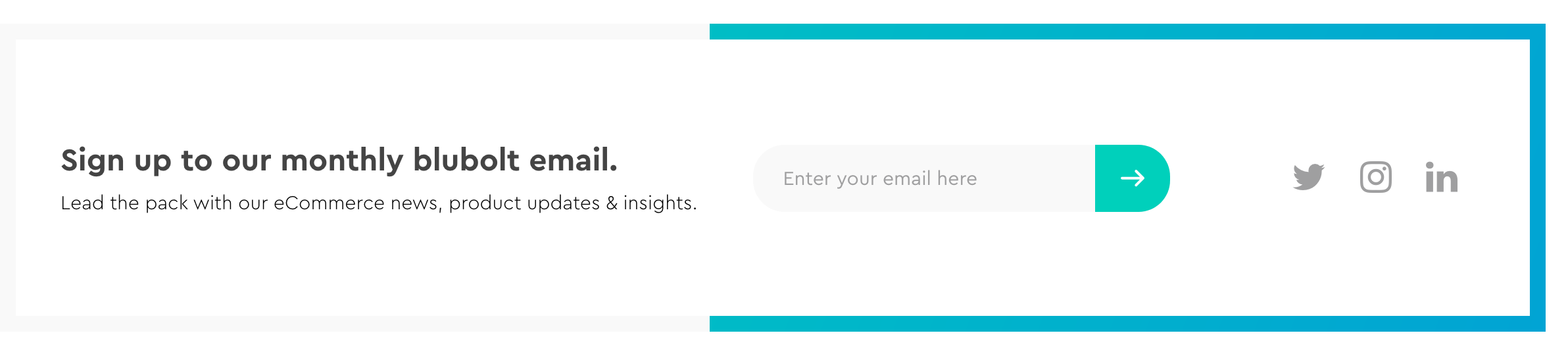 Blubolt Newsletter component screenshot