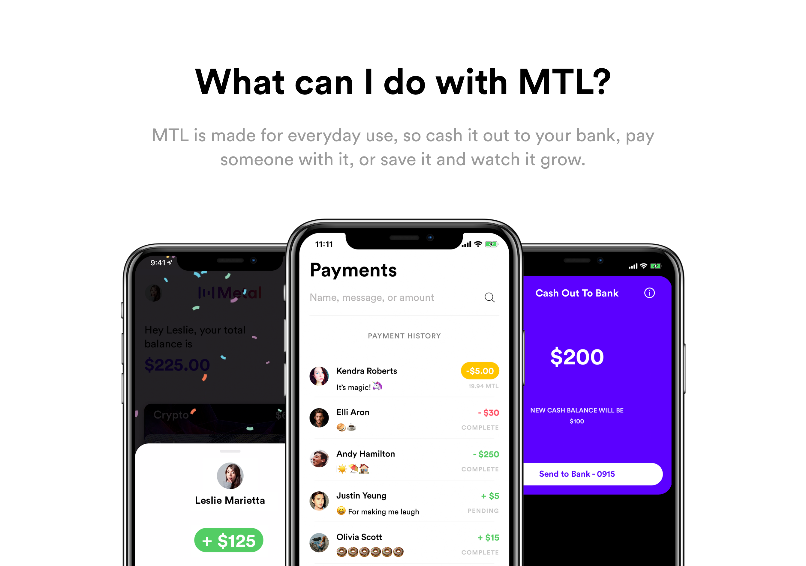 Metalpay Feature component screenshot