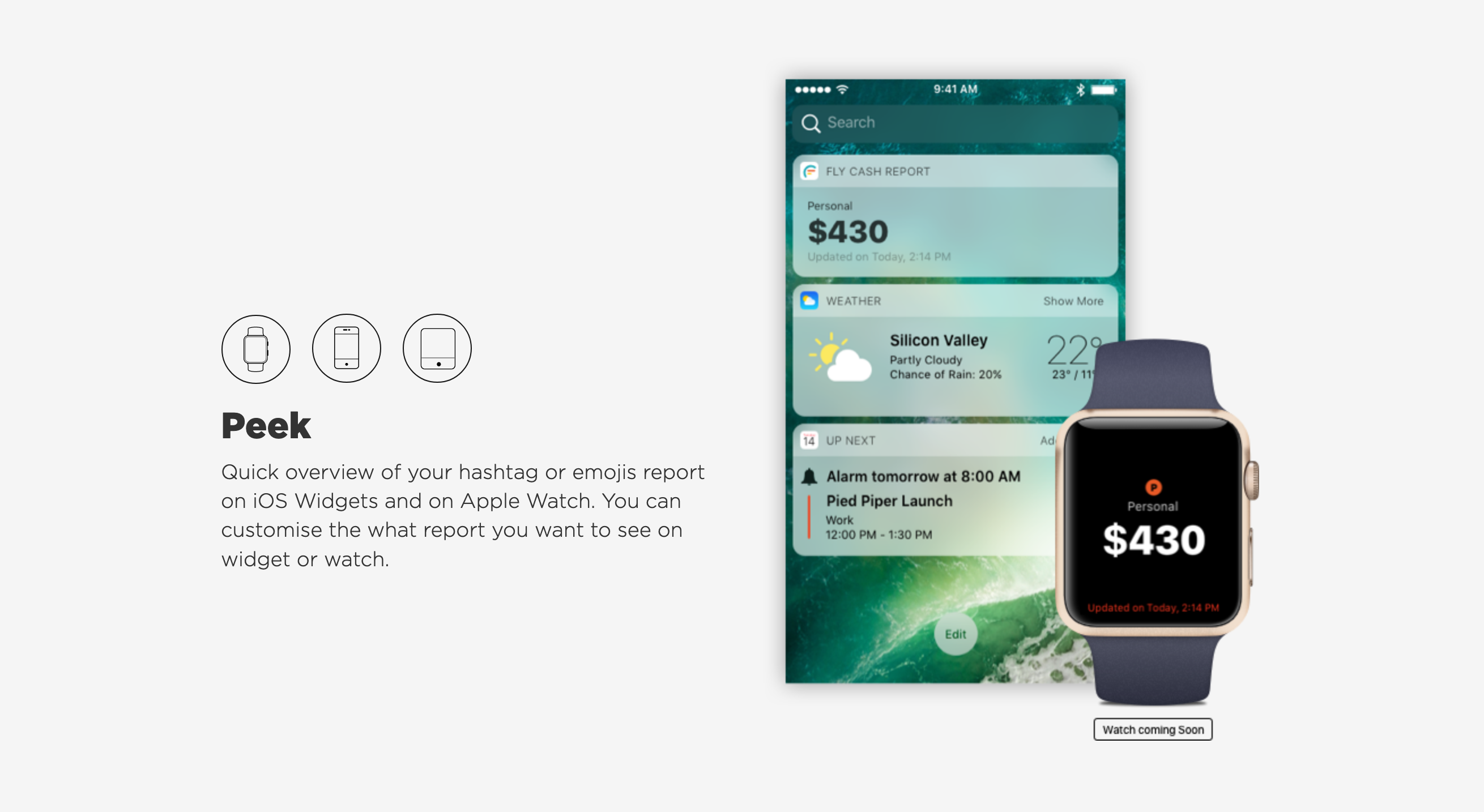 Flycash Feature component screenshot