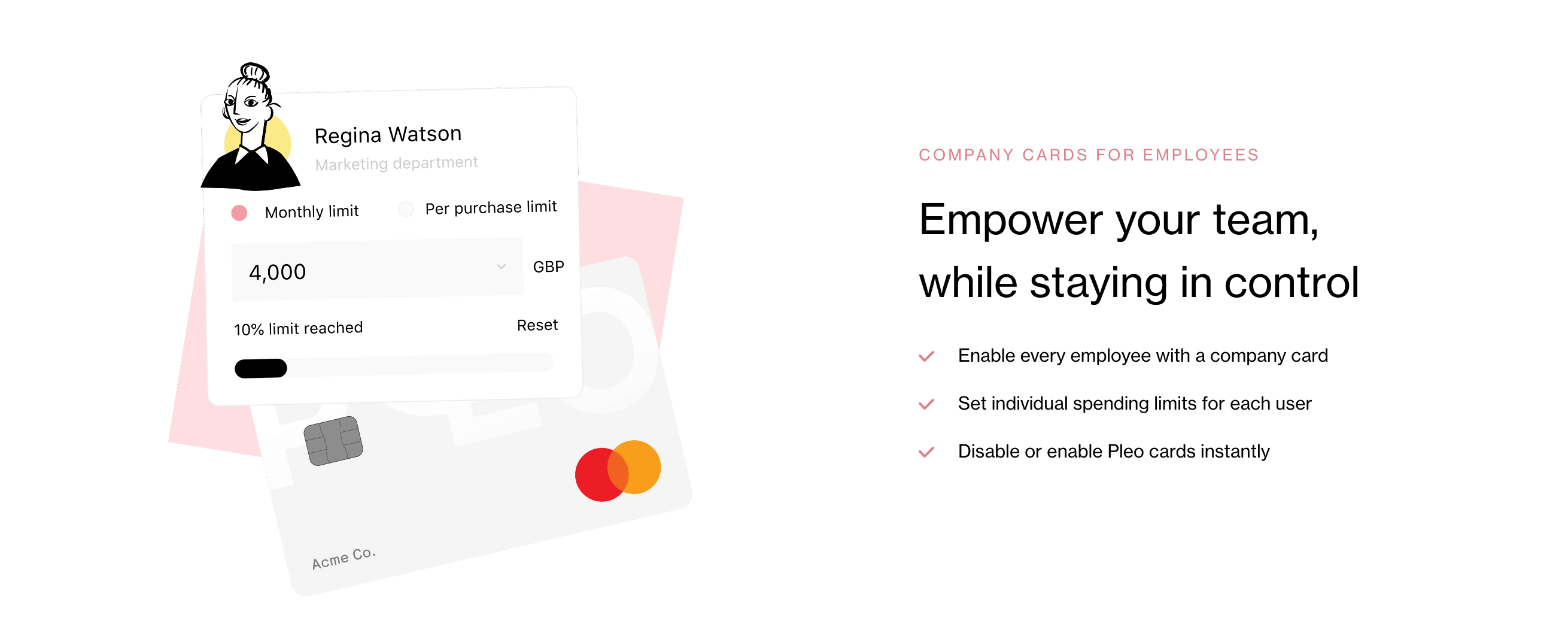 Pleo Feature component screenshot