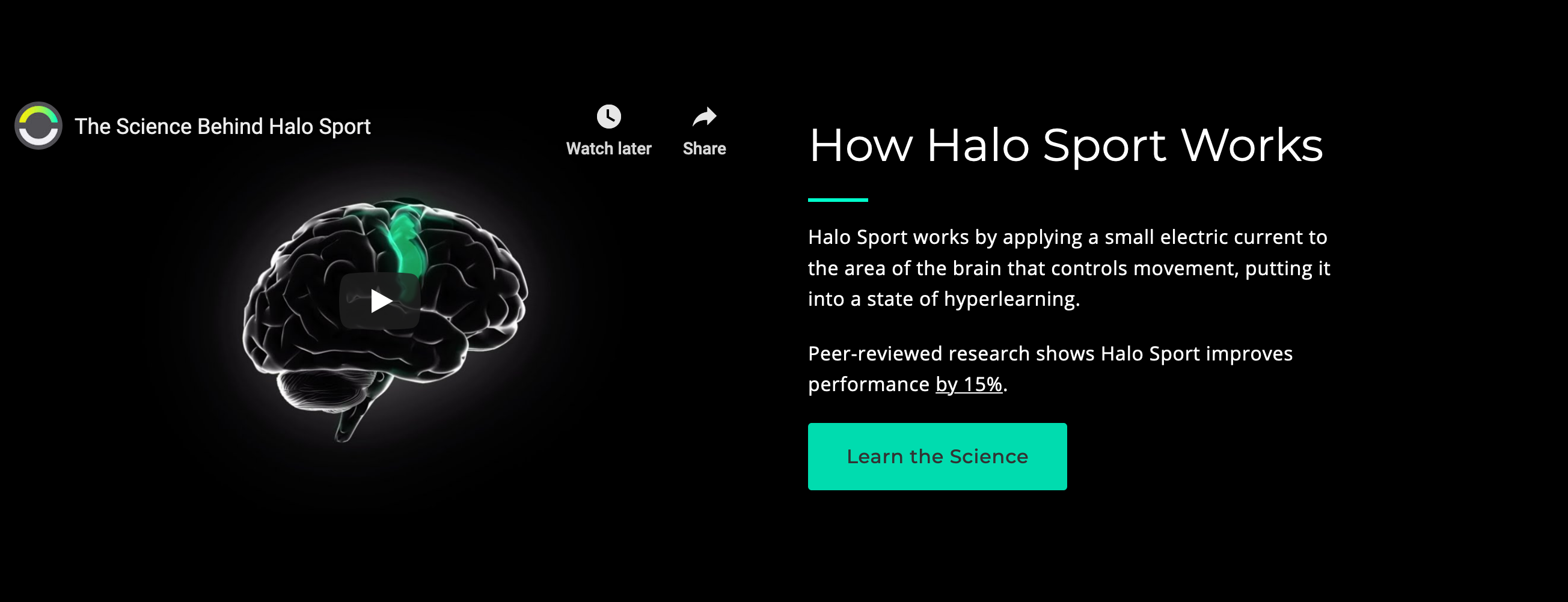 Haloneuro  component screenshot