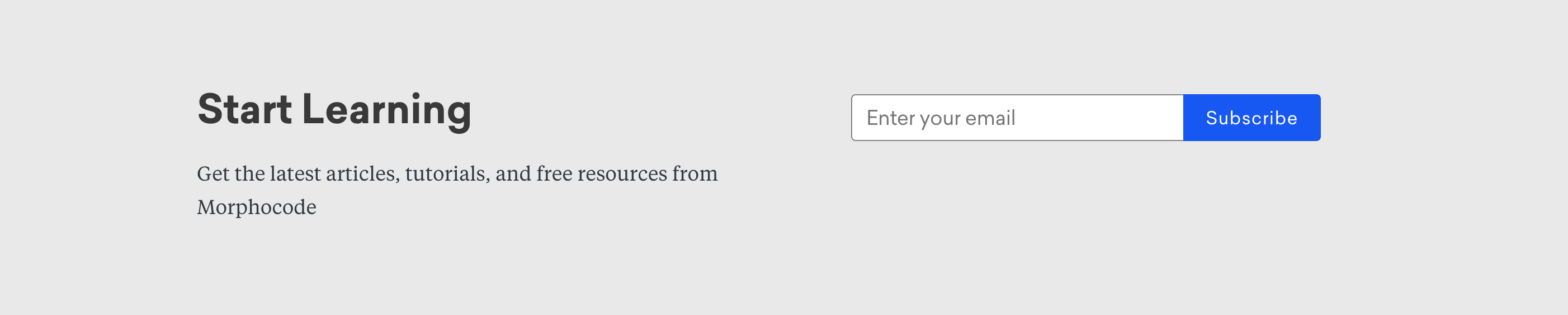 Morphocode Newsletter component screenshot
