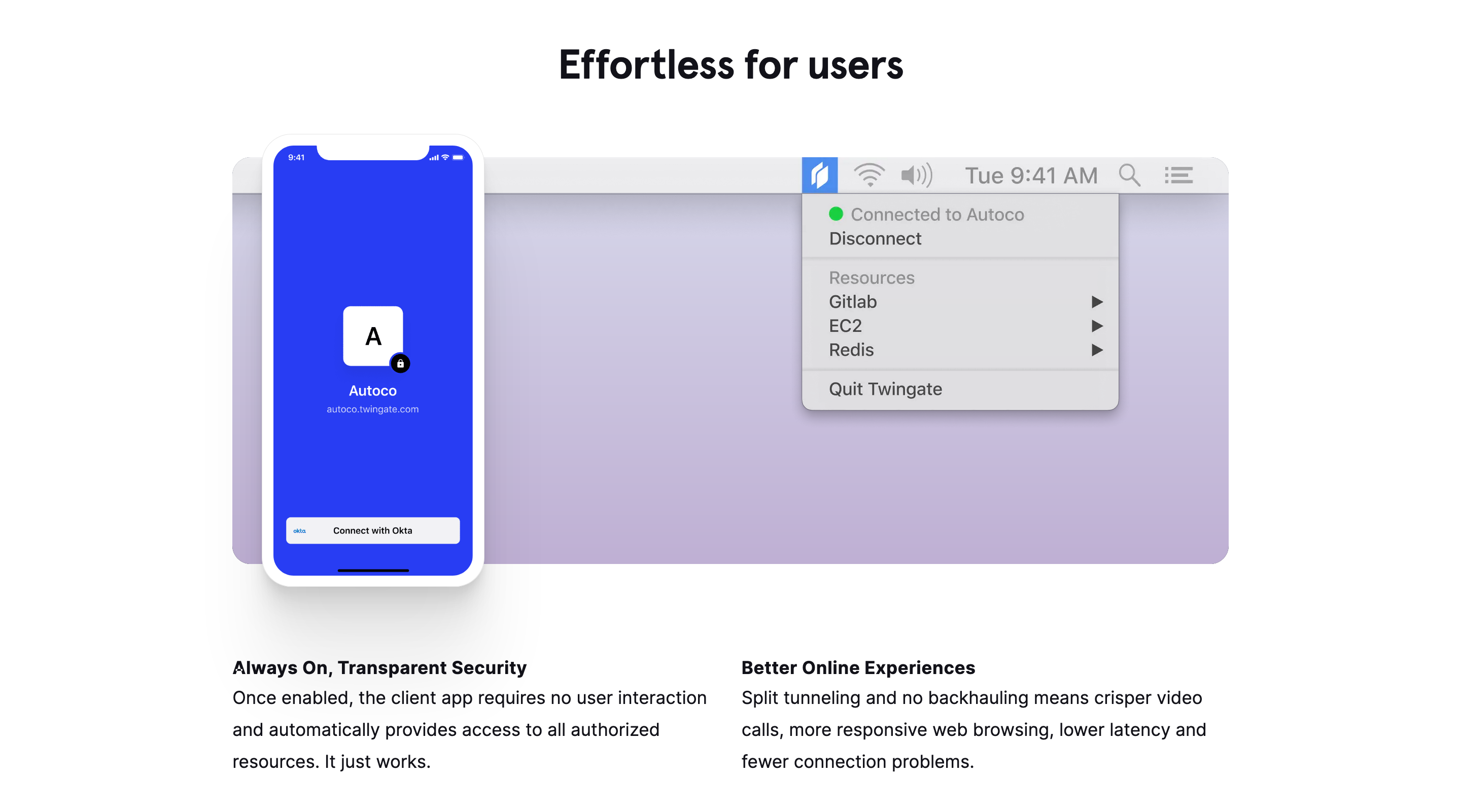 Twingate Feature component screenshot