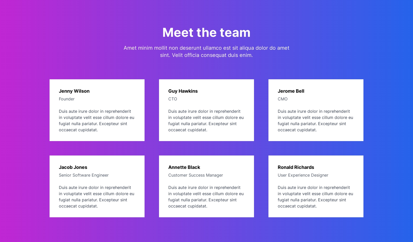 Team component screenshot