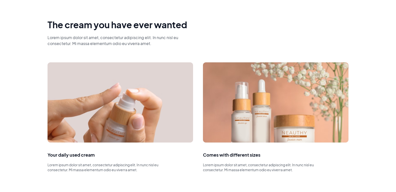 Product Overview component screenshot