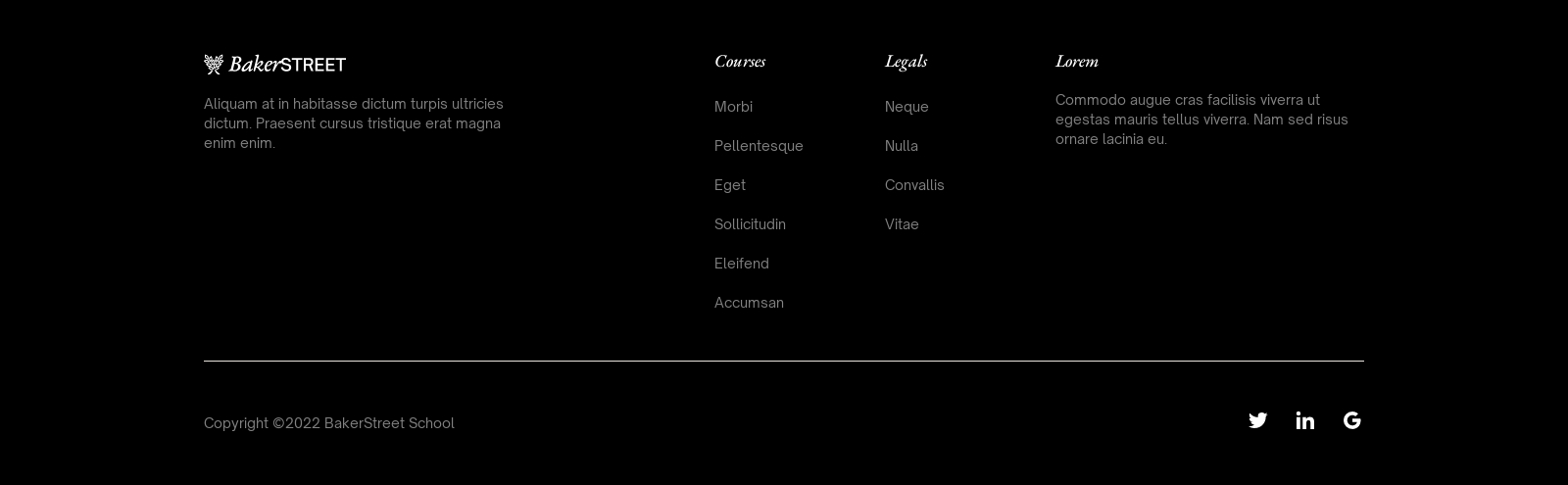 Footer component screenshot