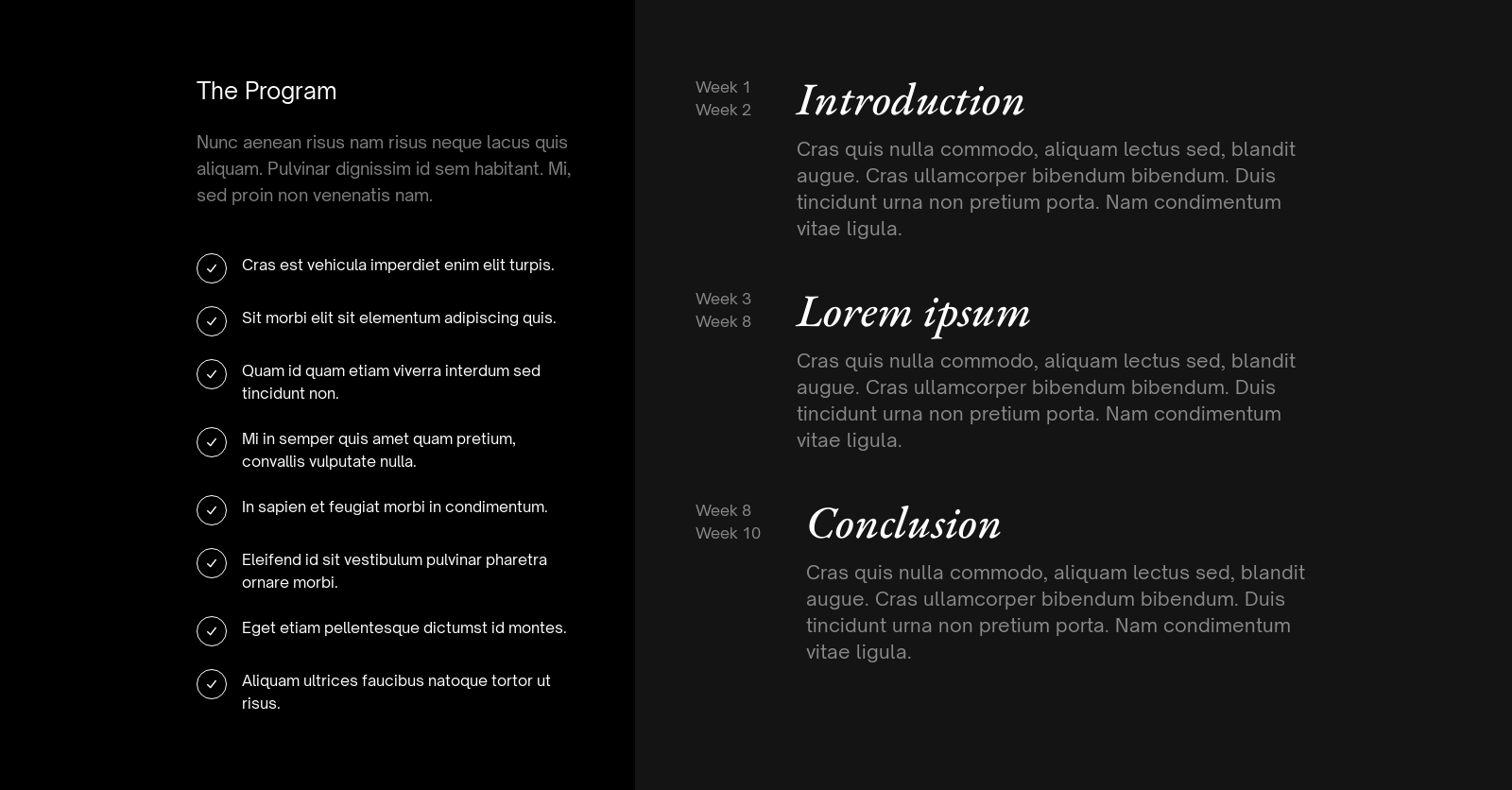 Program component screenshot