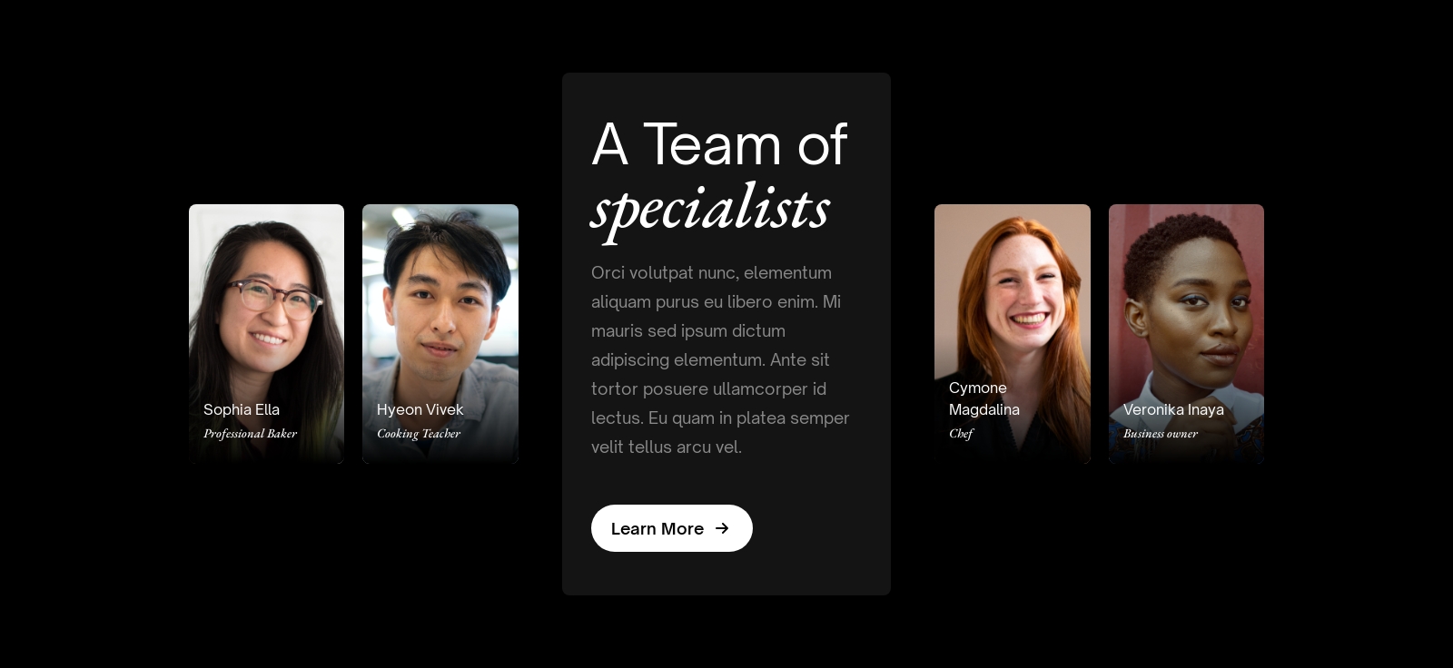 Team component screenshot