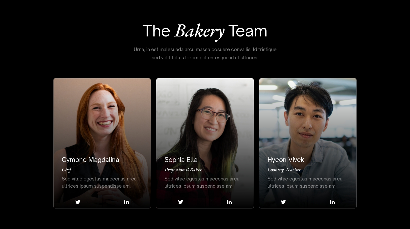 Team component screenshot