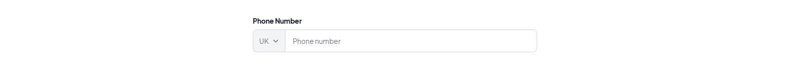 Text Input component screenshot