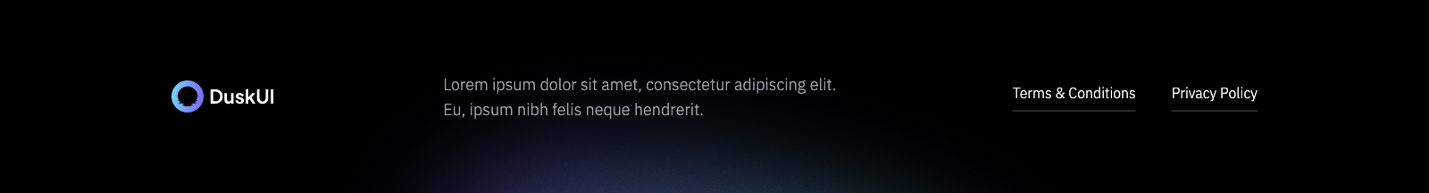Footer component screenshot