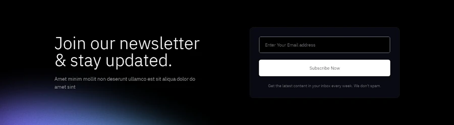 Newsletter component screenshot