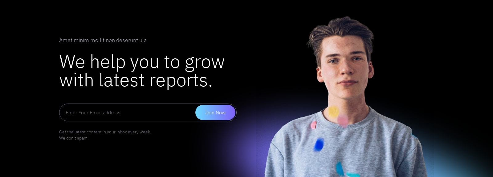 Newsletter component screenshot