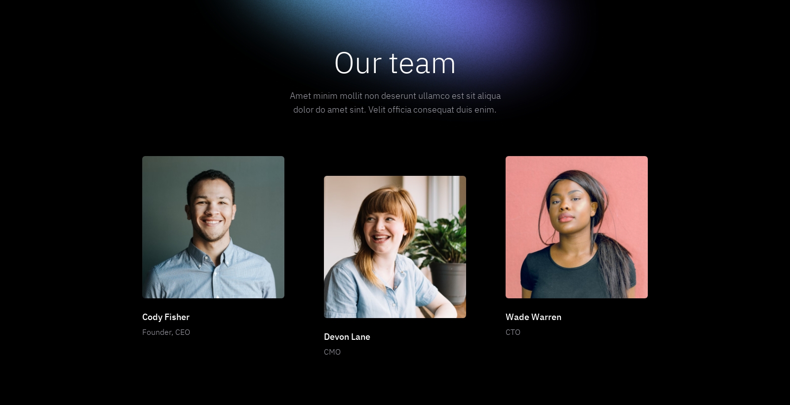 Team component screenshot