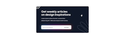 Blog Newsletter Webflow Component
